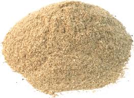 Manufacturers,Exporters,Suppliers of Mushroom Powder